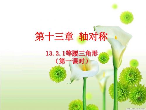 13.3.1等腰三角形(第一课时)
