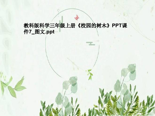 教科版科学三年级上册《校园的树木》PPT课件7_图文