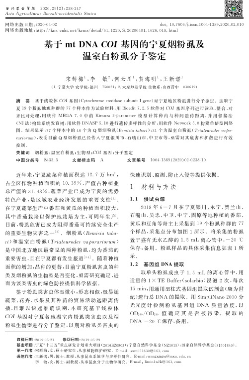 基于mt dna coi基因的宁夏烟粉虱及温室白粉虱分子鉴定