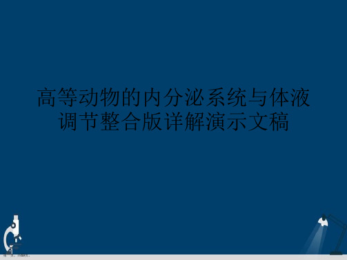 高等动物的内分泌系统与体液调节整合版详解演示文稿