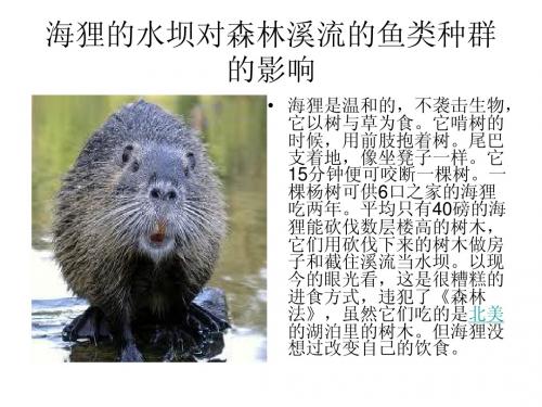 水域生态学