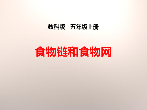 《食物链和食物网》生物与环境-教科版五年级科学上册PPT课件