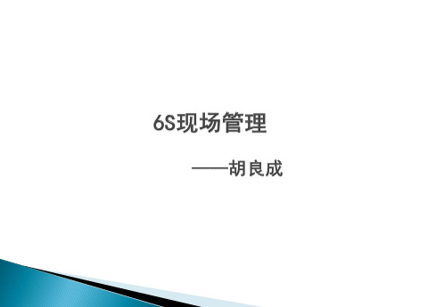 6S现场管理讲课教案