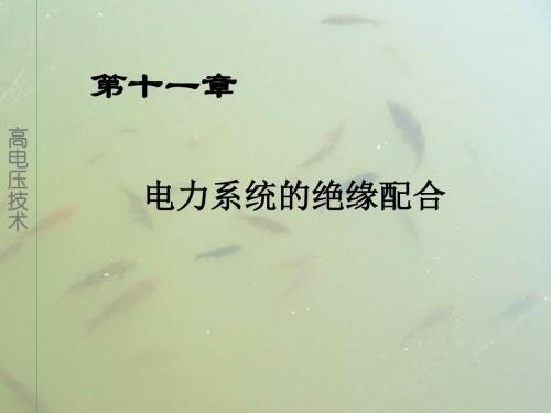 011绝缘配合