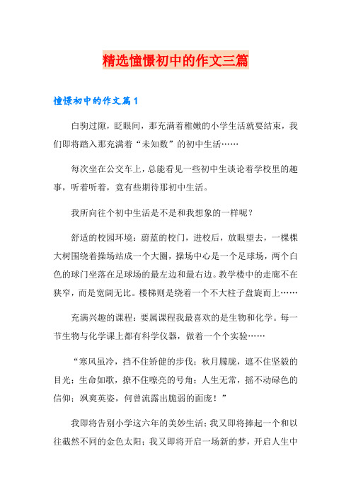 精选憧憬初中的作文三篇