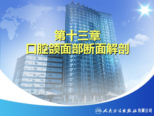 14.口腔颌面部断面解剖