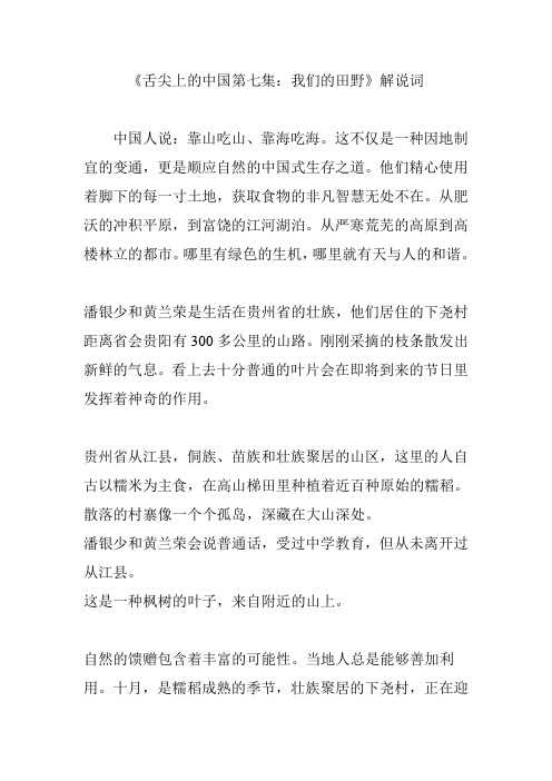 《舌尖上的中国第七集：我们的田野》解说词