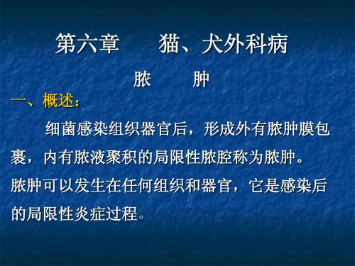 第六章 猫、犬外科病