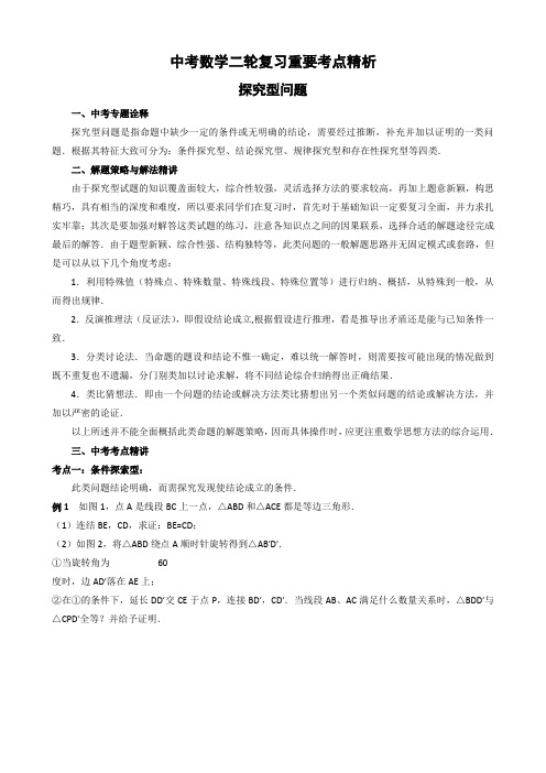 2020年中考数学二轮复习重要考点精析--探究型问题