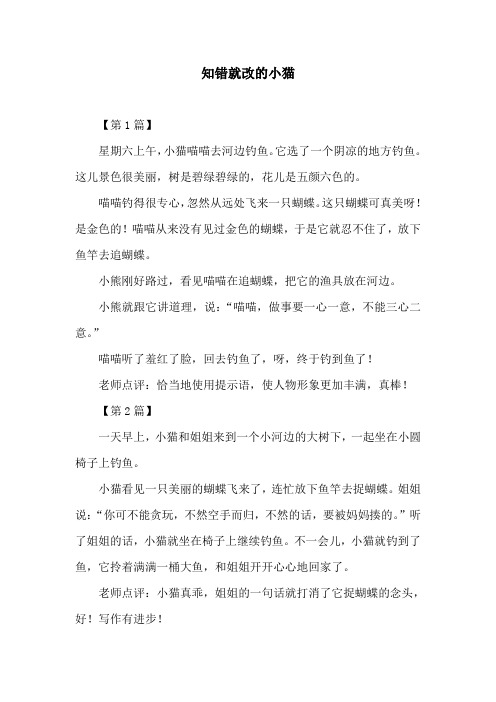 知错就改的小猫
