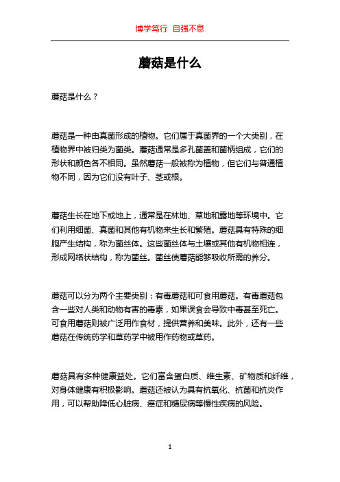 蘑菇是什么