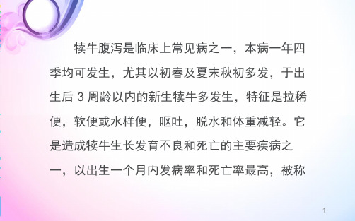 犊牛腹泻原因及预防PPT演示课件