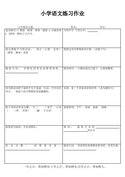 小学五年级语文提高训练II (9)