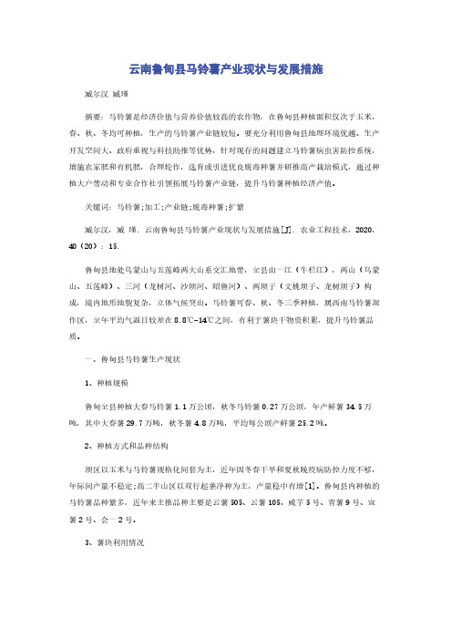 云南鲁甸县马铃薯产业现状与发展措施