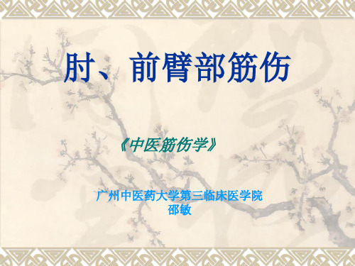 肘、前臂部筋伤