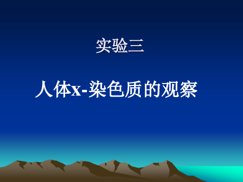 人体X—染色质的观察