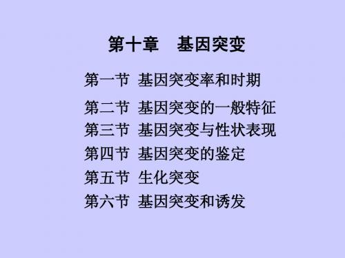 基因突变和基因重组(精品)