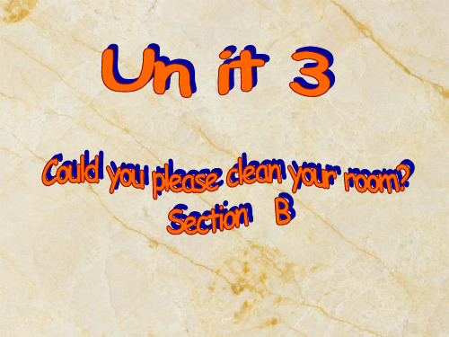 2014 最新课件Unit_3_Could_you_please_clean_your_room__ Section B