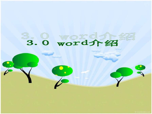word介绍