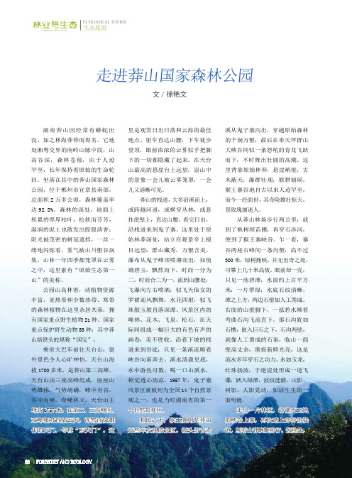 走进莽山国家森林公园