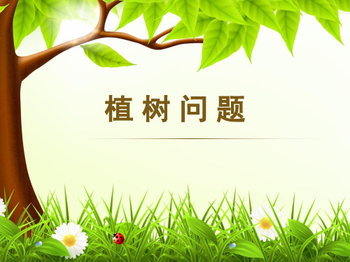 小学数学_智慧广场《植树问题》教学课件设计