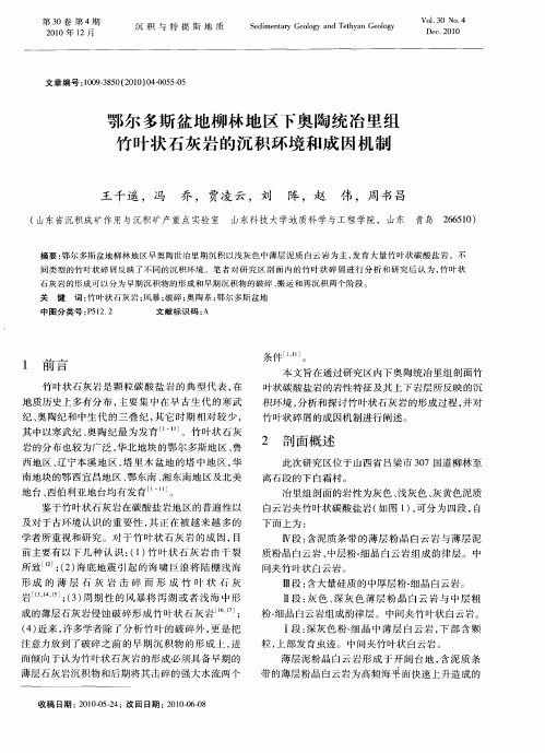 鄂尔多斯盆地柳林地区下奥陶统冶里组竹叶状石灰岩的沉积环境和成因机制