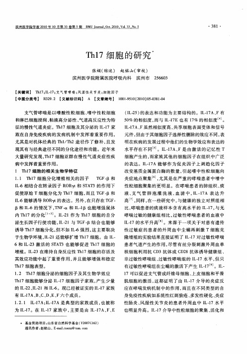Th17细胞的研究