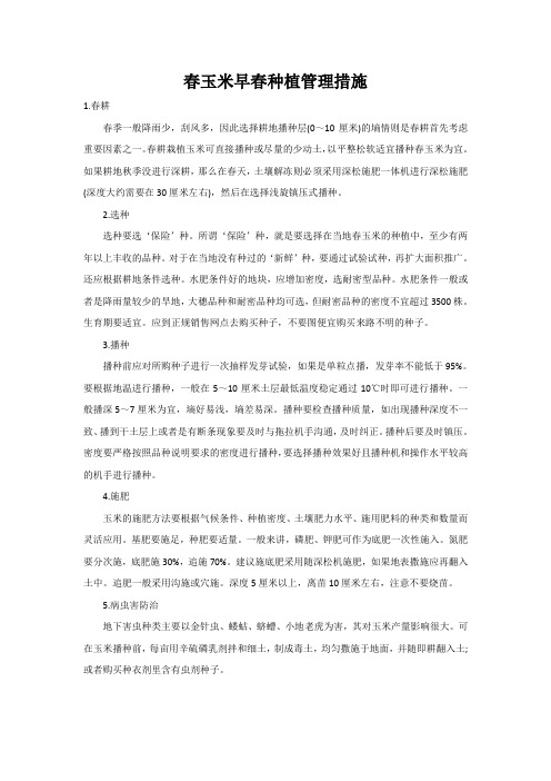 春玉米早春种植管理措施