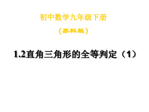 九年级数学直角三角形的全等判定1