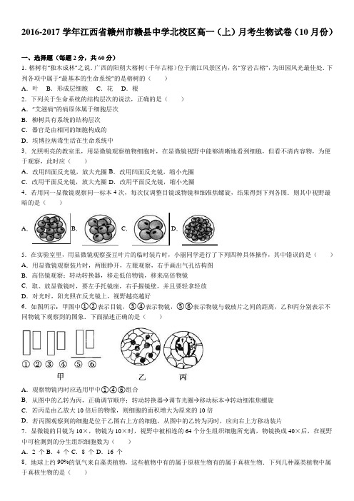 江西省赣州市赣县中学北校区2016-2017学年上学期高一(上)月考生物试卷(10月份)(解析版)