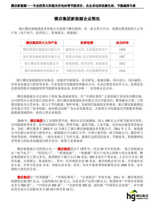 横店集团新能源企业简介