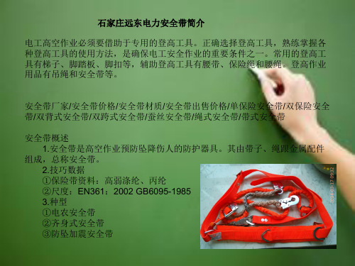 电工安全带