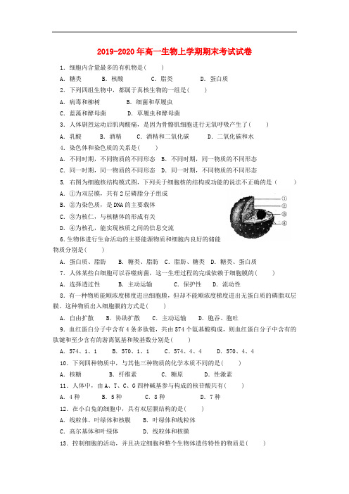 2019-2020年高一生物上学期期末考试试卷