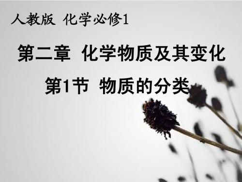 高一化学必修一第二章第一节第二课时 分散系及其分类