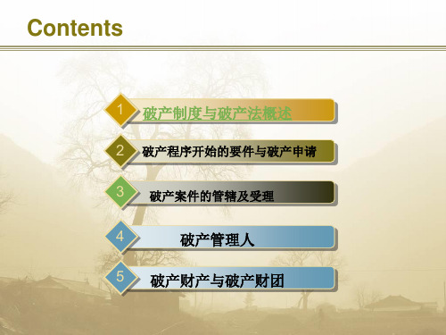 破产法第一讲共30页