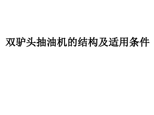 双驴头抽油机