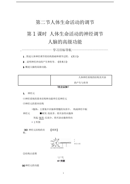 苏教版必修3人体生命活动的调节第1课时人体生命活动的神经调节人脑的高级功能学案