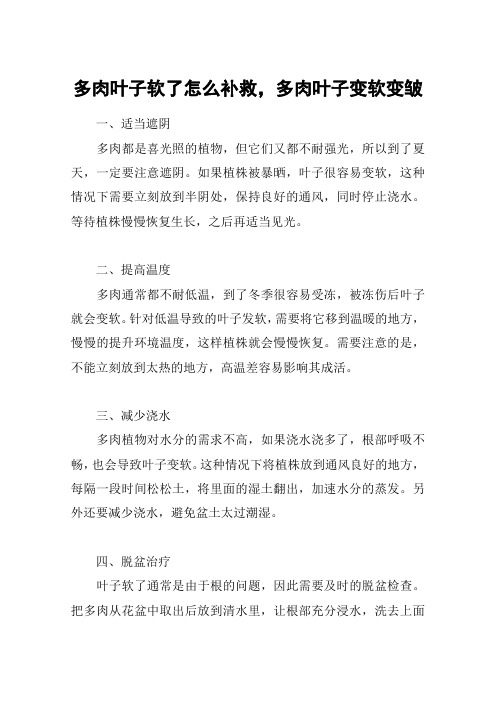 多肉叶子软了怎么补救,多肉叶子变软变皱