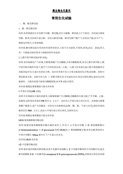 微生物生化鉴定