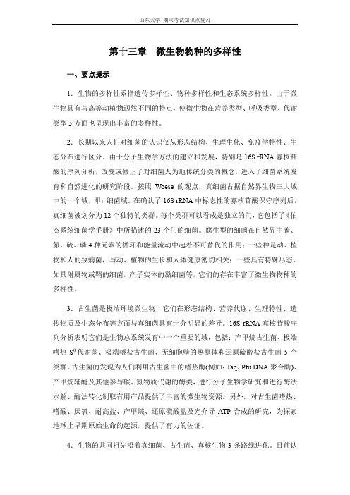 微生物学[第十三章微生物物种的多样性]山东大学期末考试知识点复习