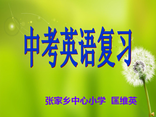 中考英语复习讲座