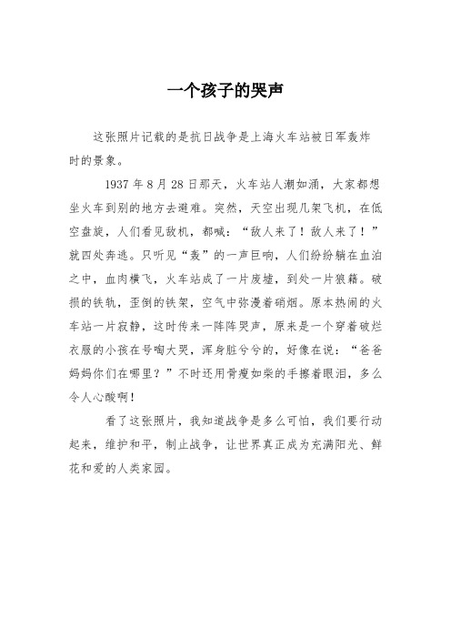 小学议论文作文：一个孩子的哭声1