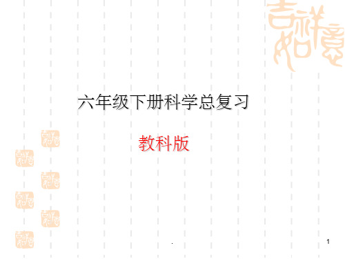 教科版六年级下册科学总复习PPT课件