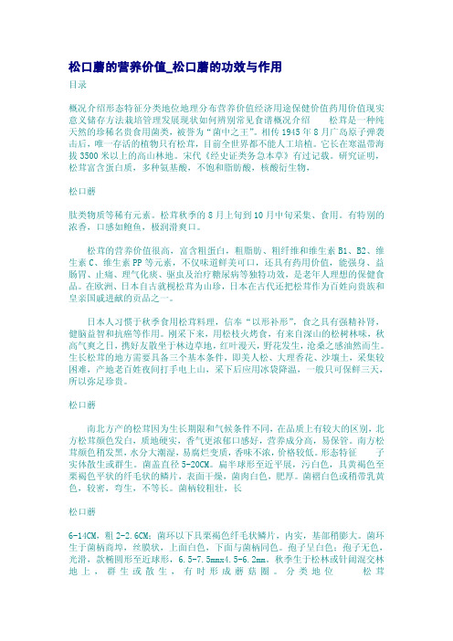 松口蘑的营养价值_松口蘑的功效与作用