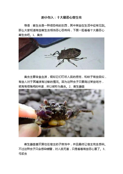 胆小勿入：十大最恶心寄生虫