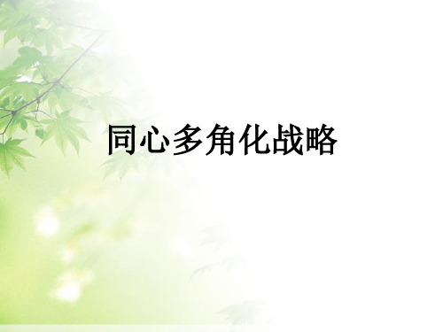 同心多角化战略