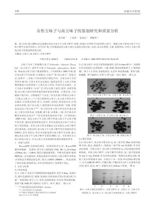 市售五味子与南五味子鉴别和质量