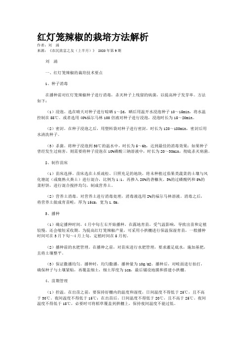 红灯笼辣椒的栽培方法解析