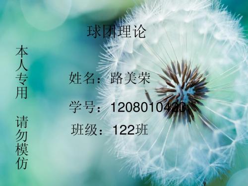 球团理论