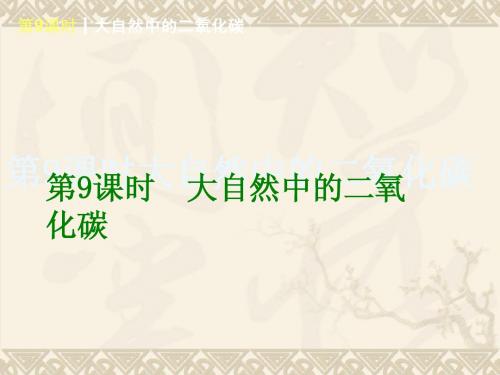 鲁教全国版2014中考一轮复习课件：第9课时 大自然中的二氧化碳(查漏补缺+专题专练,36ppt)